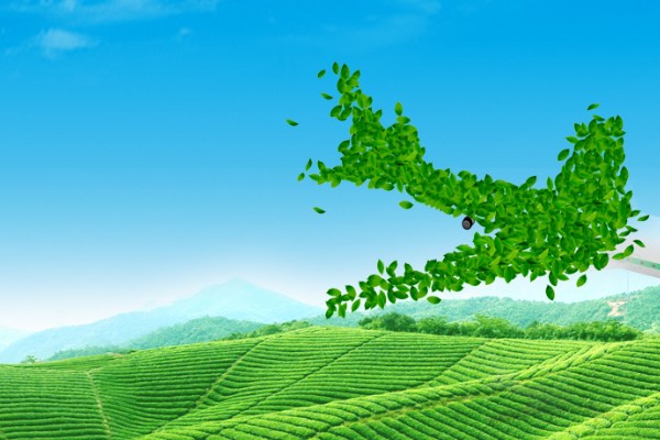 “水形物語(yǔ)”：農(nóng)業(yè)科技是如何提高灌溉效率的？